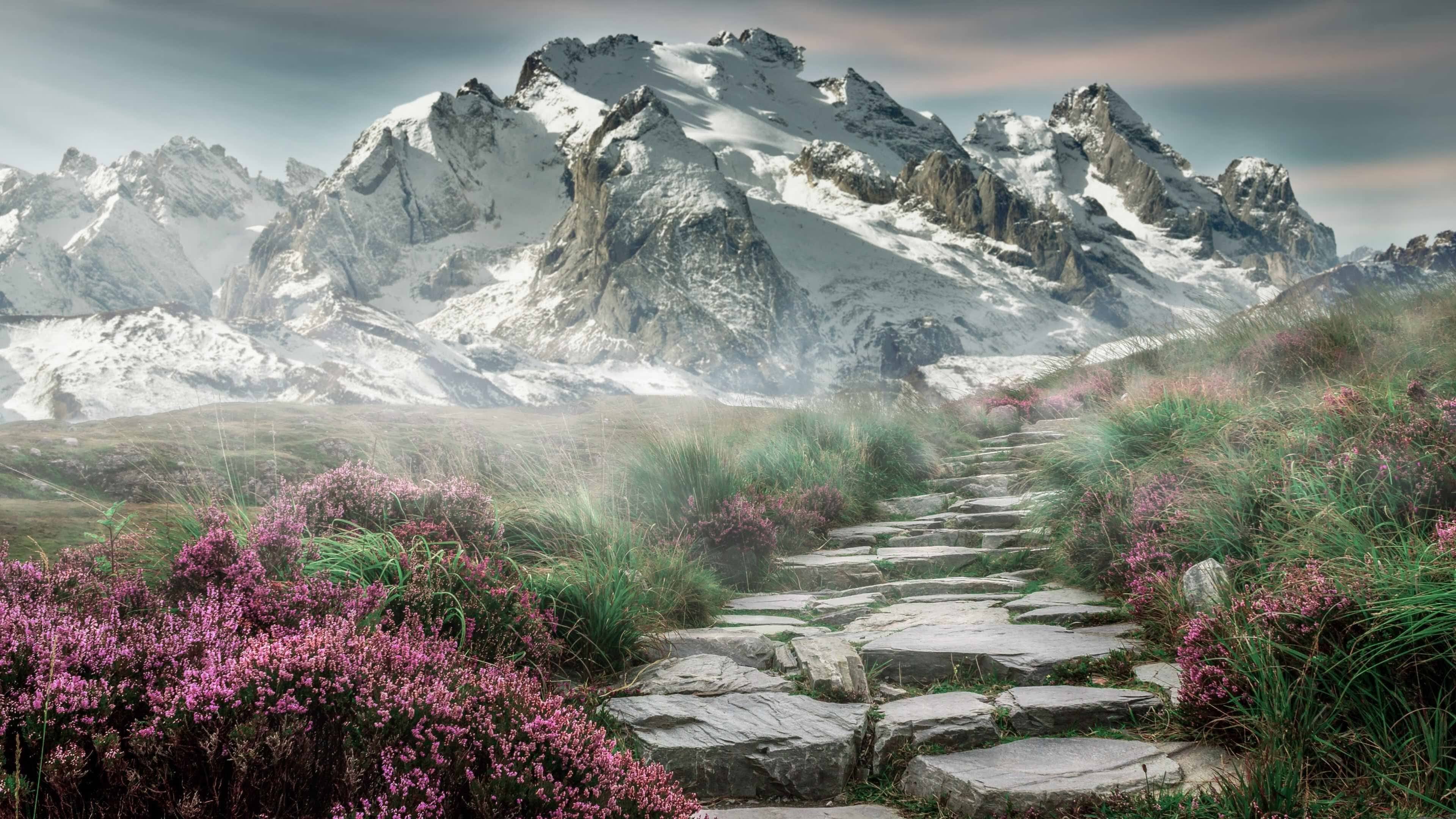 kaiyun app下载-v7.2.5 官方版发布，2026年6月23日，一次面向未来的关键进化